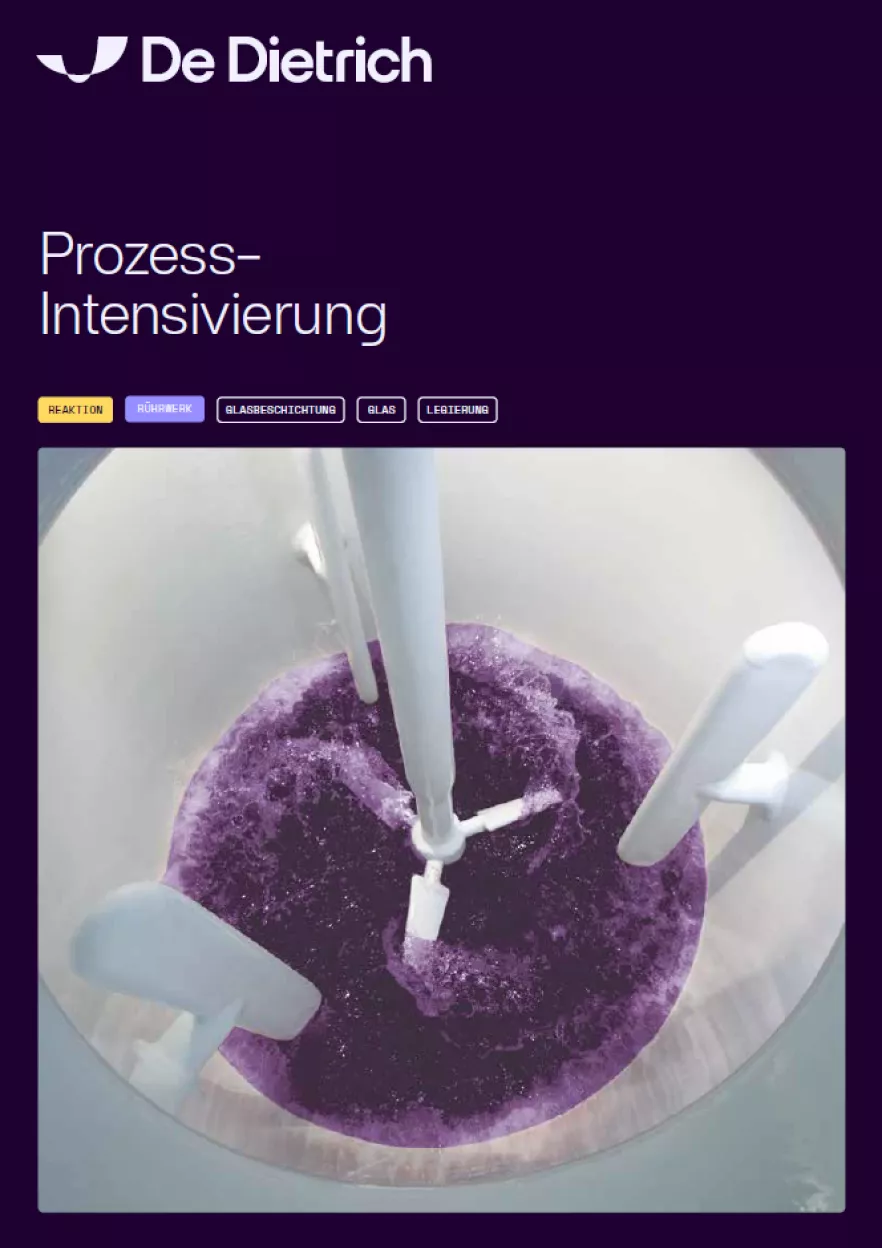 Screenshot Process Intensification DE