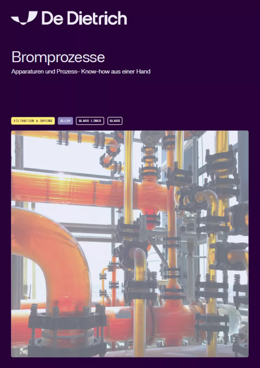 Screenshot Bromine Process DE