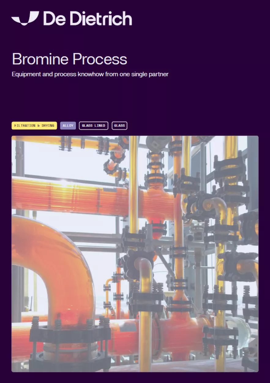 Screenshot Bromine Process EN