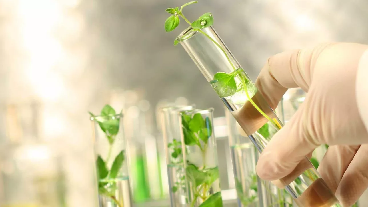 Green Chemistry