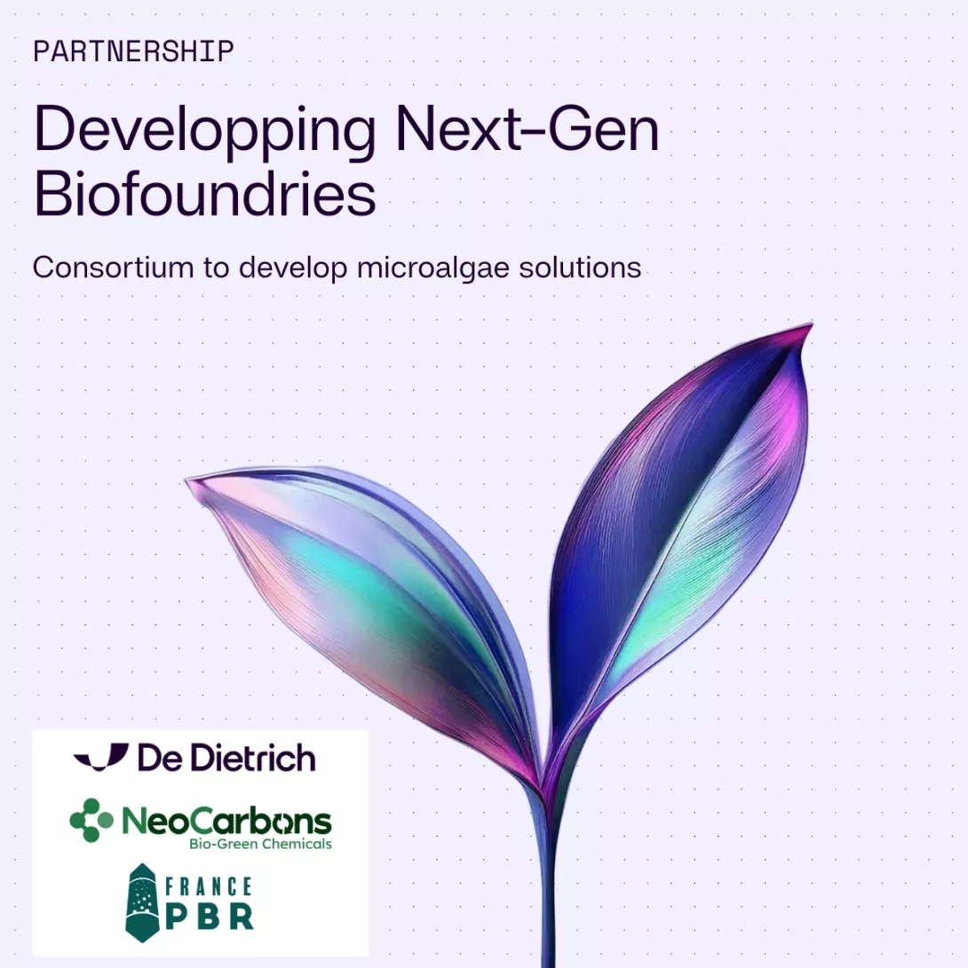 Partnership NeoCarbons 